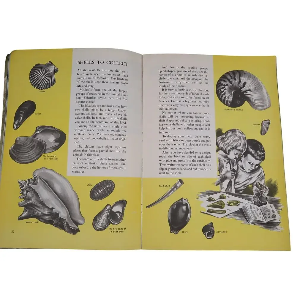 Golden Books Exploring Earth Book Oceanography 1973 Vintage Childrens Book